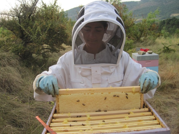 Récolte et extraction (7)